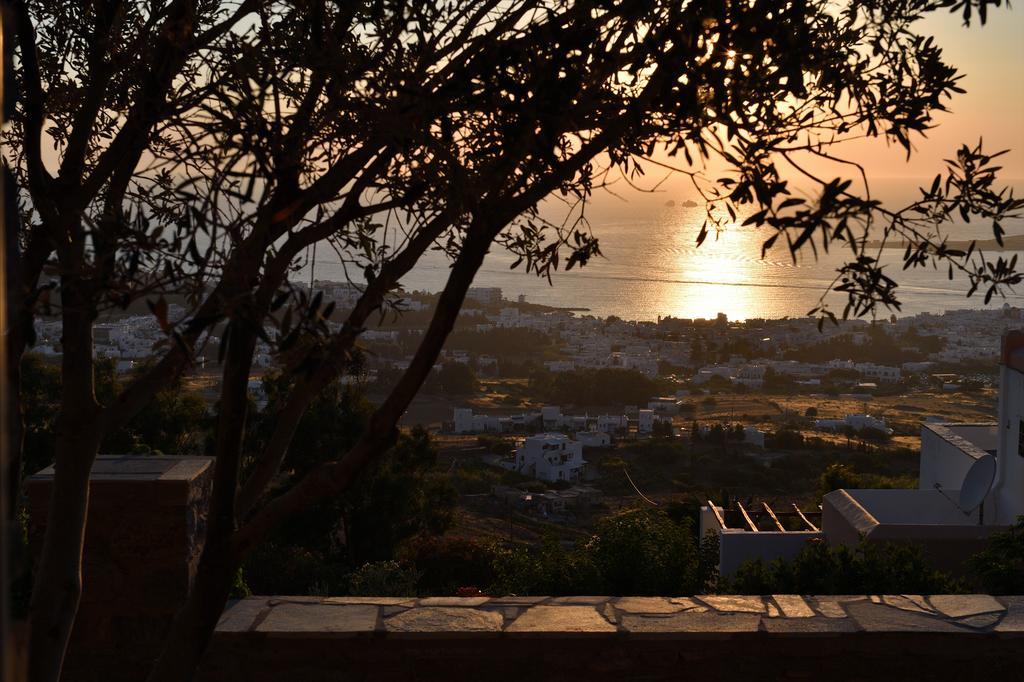 Villa Olive Tree House In Parikia à Páros Extérieur photo